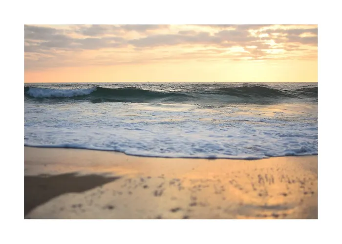 Me Lady's Cocoon 3 Etoiles *